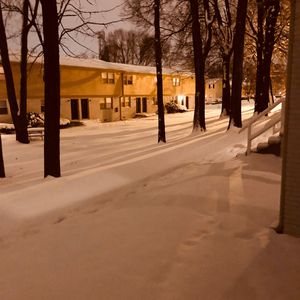 特级黄片视频就是干
